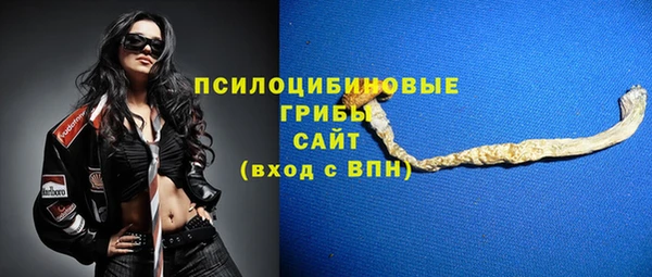 тгк Белокуриха