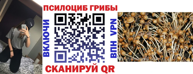 Галлюциногенные грибы мухоморы  Минеральные Воды 