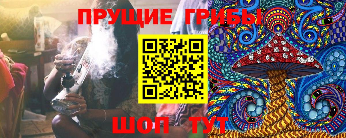 Галлюциногенные грибы Psilocybine cubensis  Вход с VPN  Минеральные Воды 